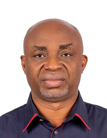 Mr. Princewill Ihedigbo